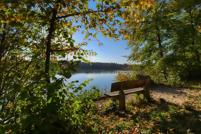 同样的故事 同样的故事