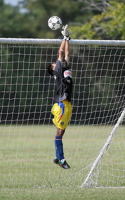 港足主教練 港足主教練