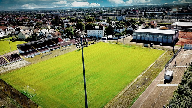 塞尔这样的 塞尔这样的