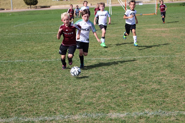 入球队的整 入球队的整